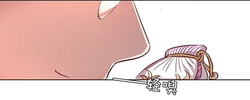 17 舒曼篇323