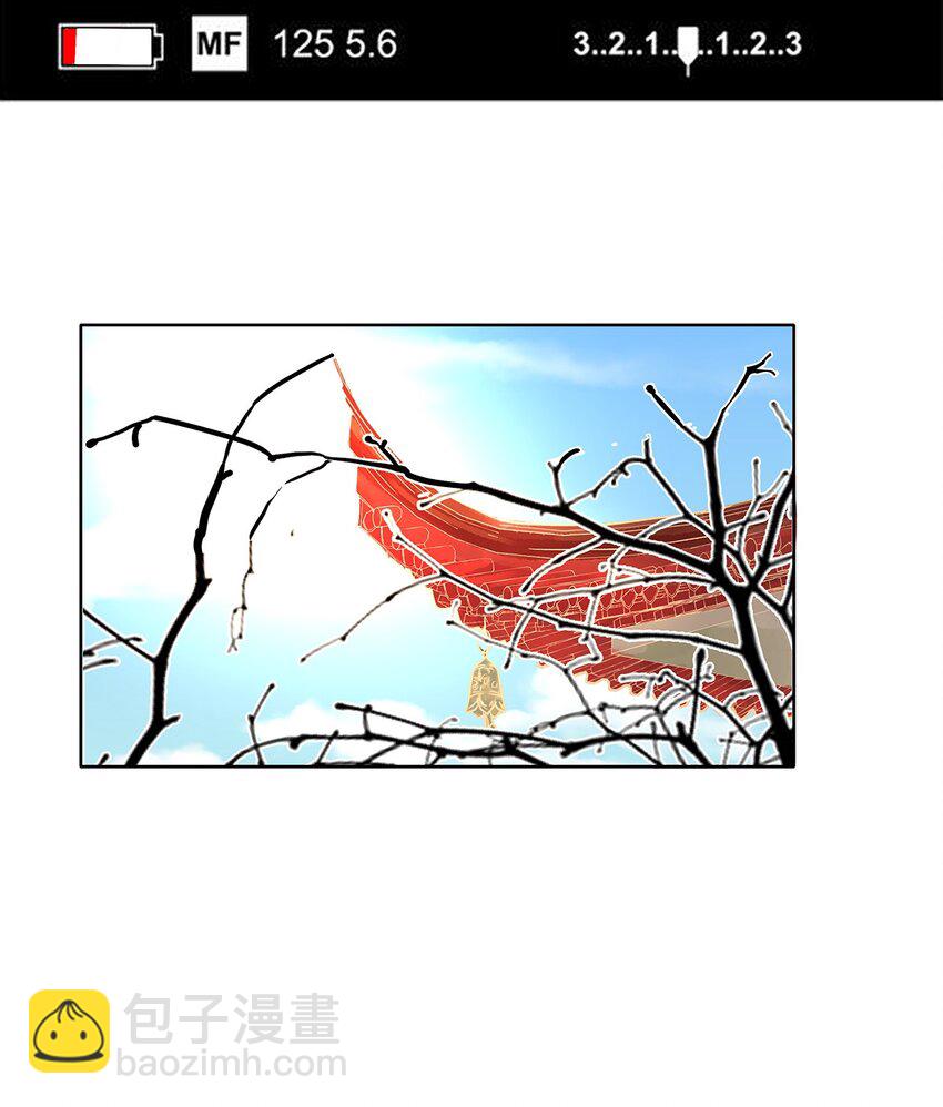 新年番外 舒曼X玫瑰3