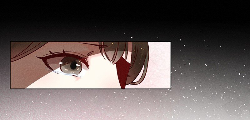 21 舒曼篇736