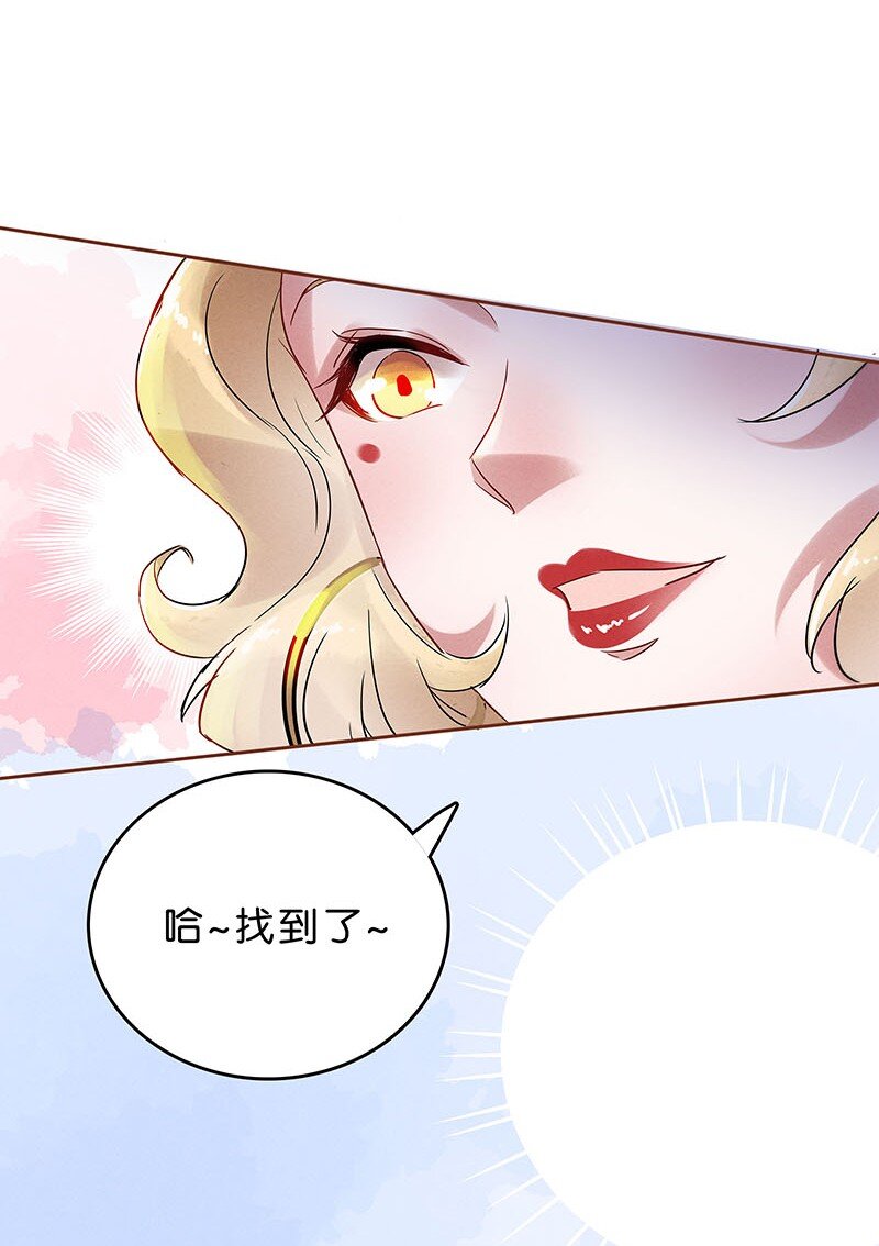 9 玫瑰篇311