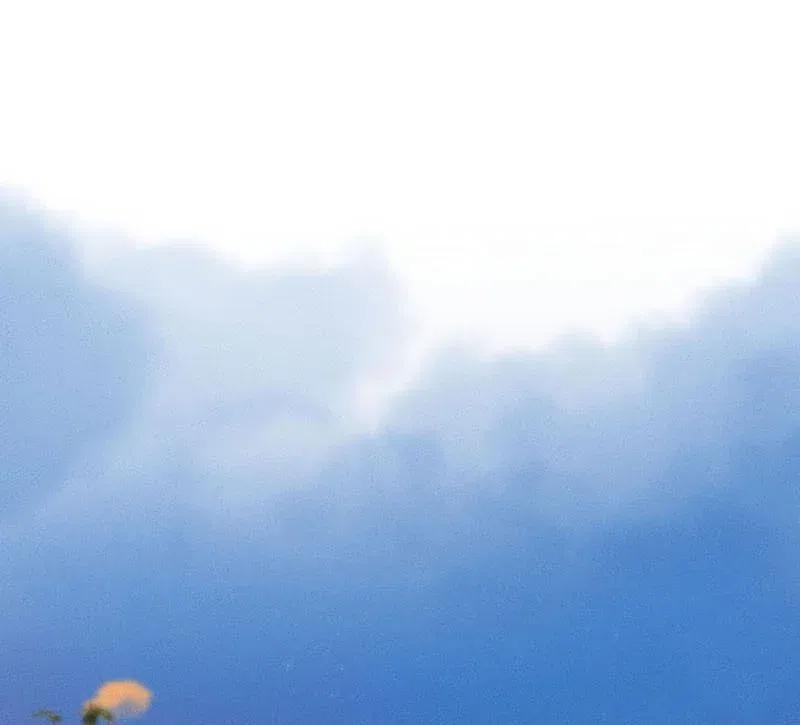 61 花霜篇1721