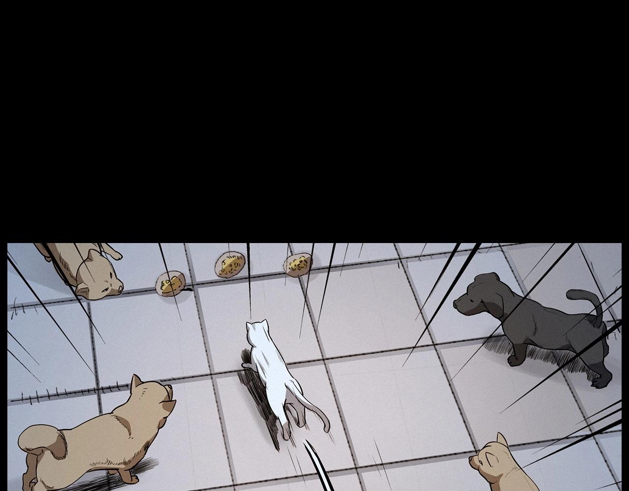 第412话 双瞳猫22
