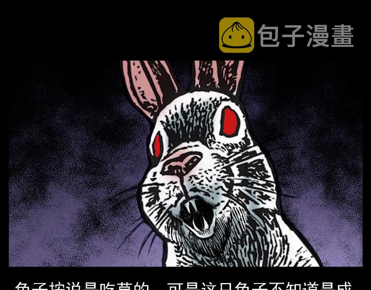 第11话 兔子64