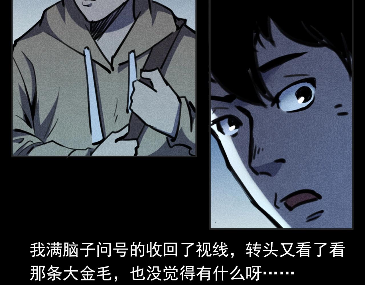 第352话 流浪狗46