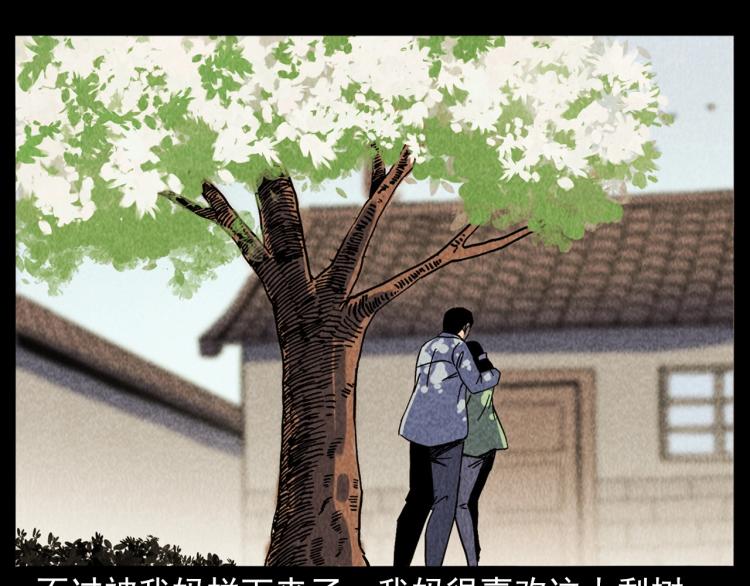 第308话 梨树32