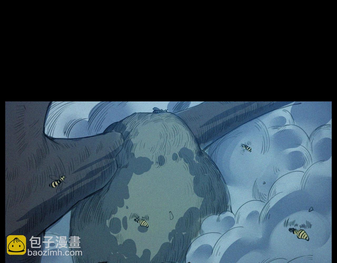441话蜂窝42