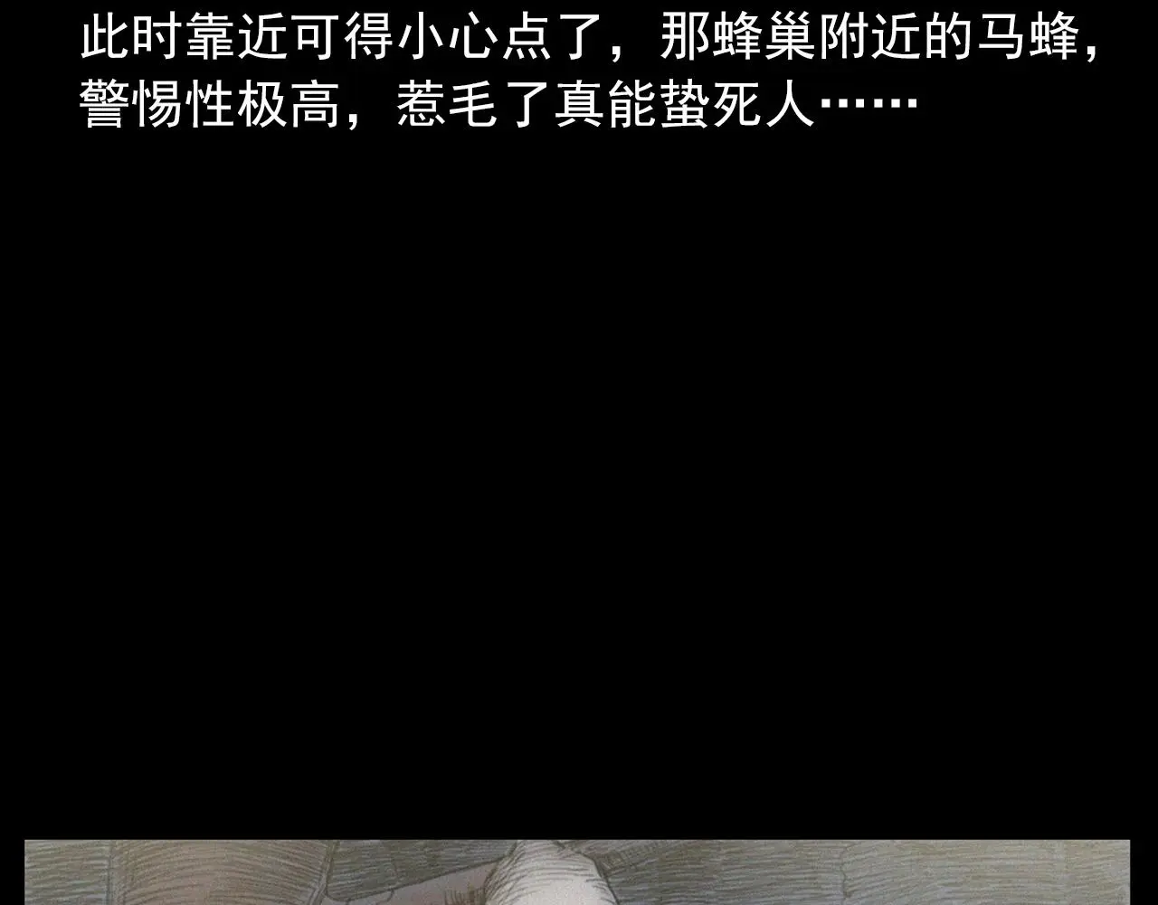 441话 蜂窝29