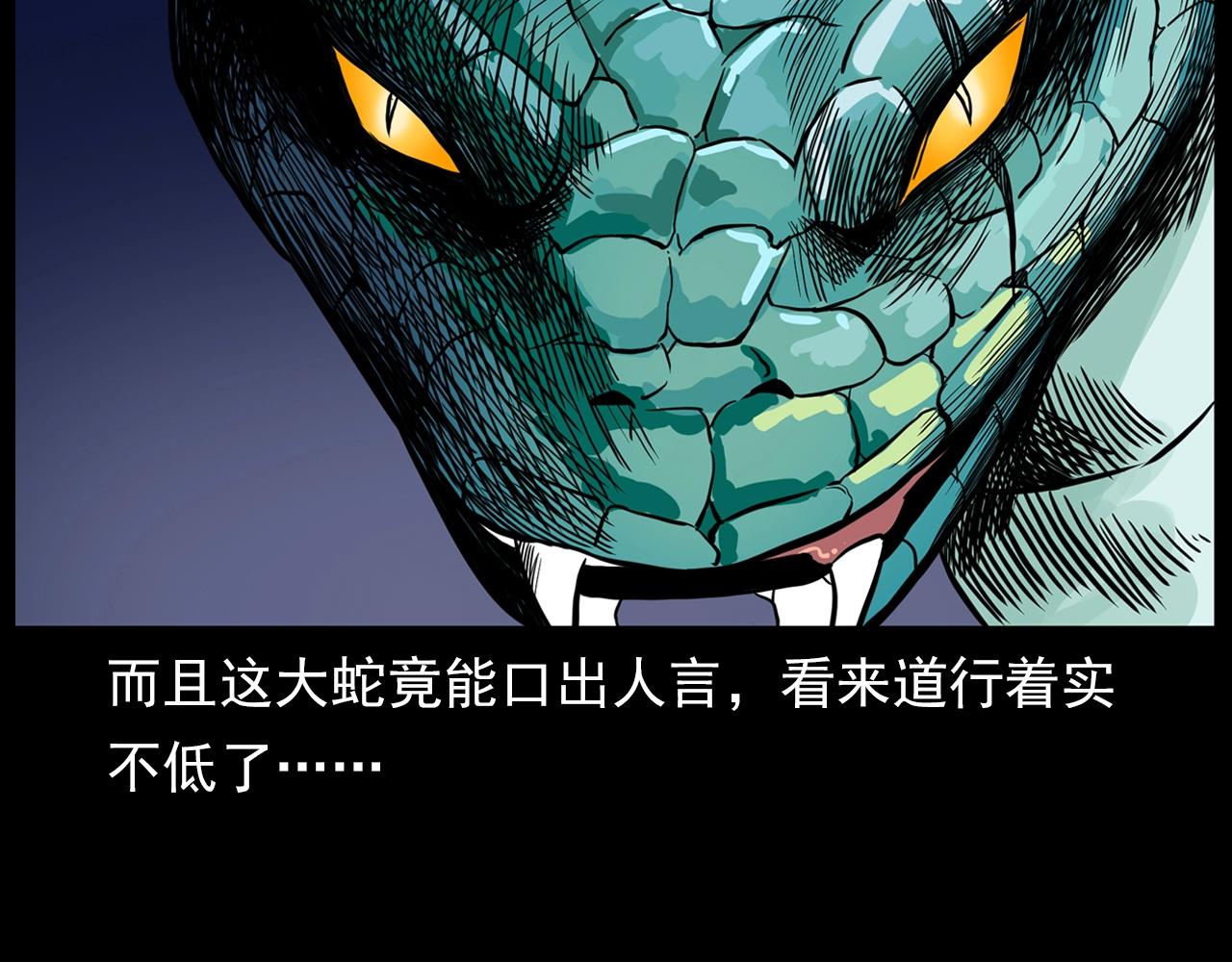 第192话  阎老九之守墓妖101