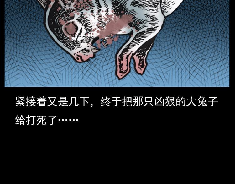 第11话 兔子71
