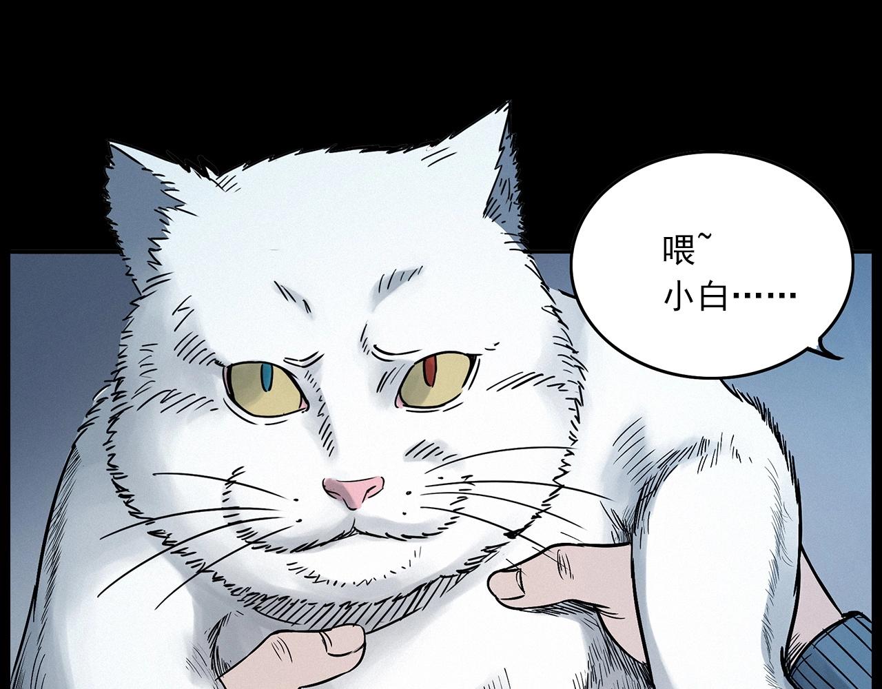 第412话 双瞳猫34