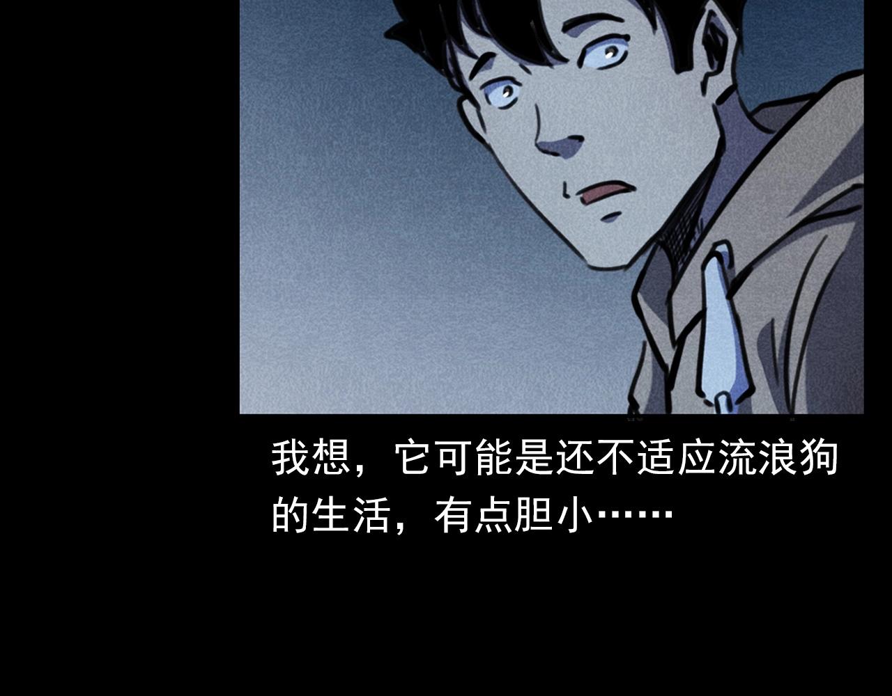 第352话 流浪狗17