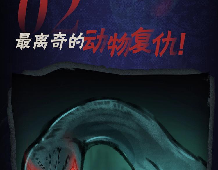 番外 广播剧正式上线啦！10