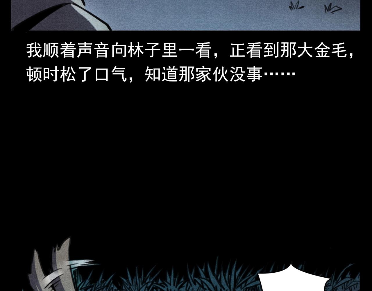 第352话 流浪狗58