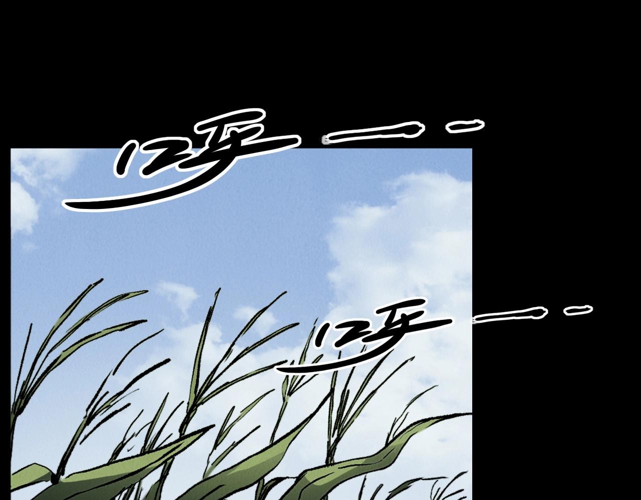 第415话 玉米地里的人35