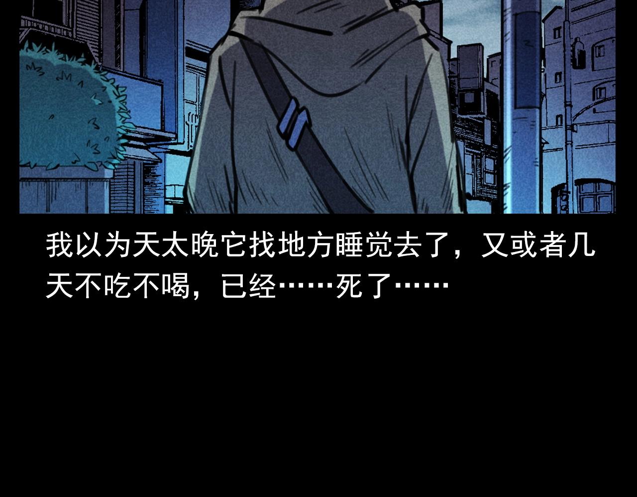 第352话 流浪狗53