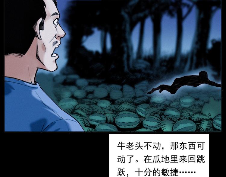 第279话 看瓜31