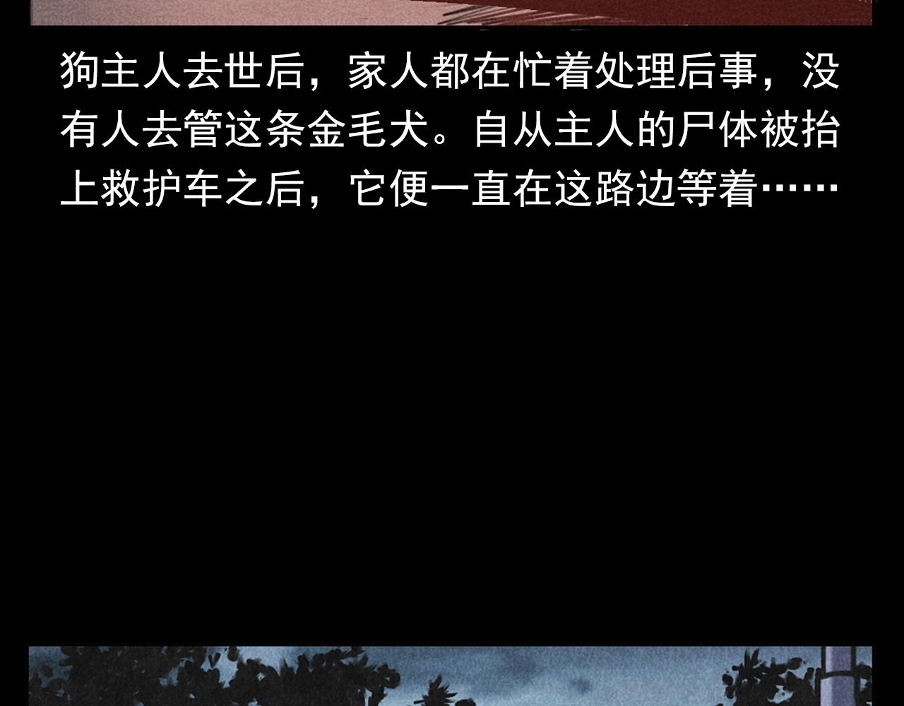 第352话 流浪狗88