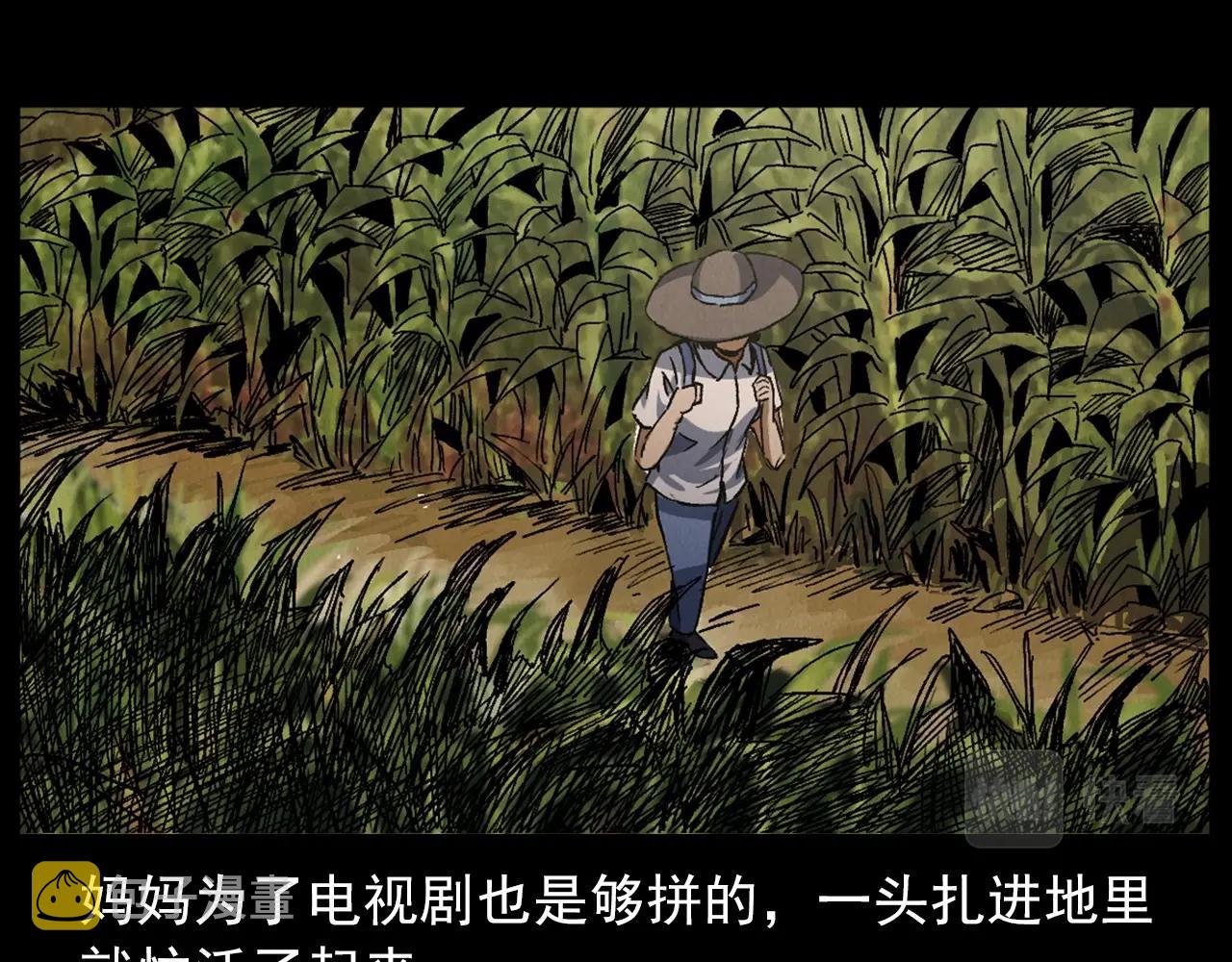 第415话 玉米地里的人16