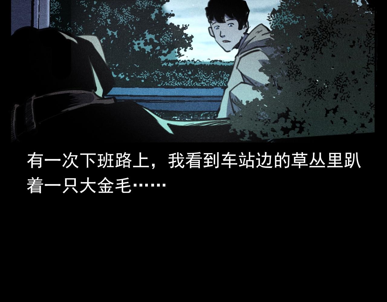 第352话 流浪狗12