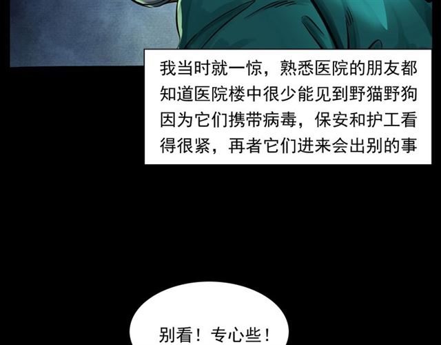 第159话  医院里的黑猫23