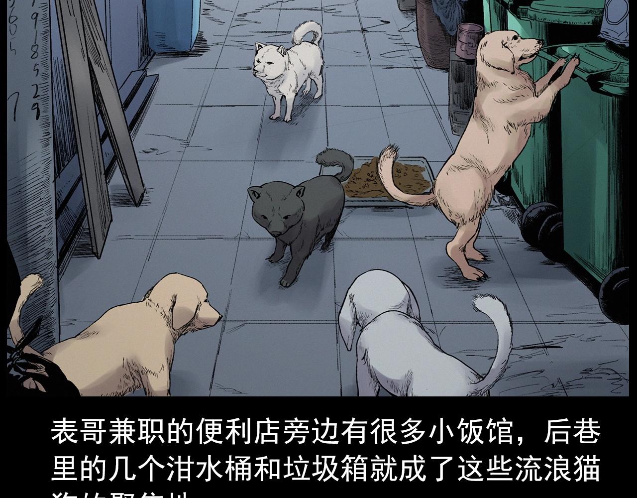 第412话 双瞳猫12