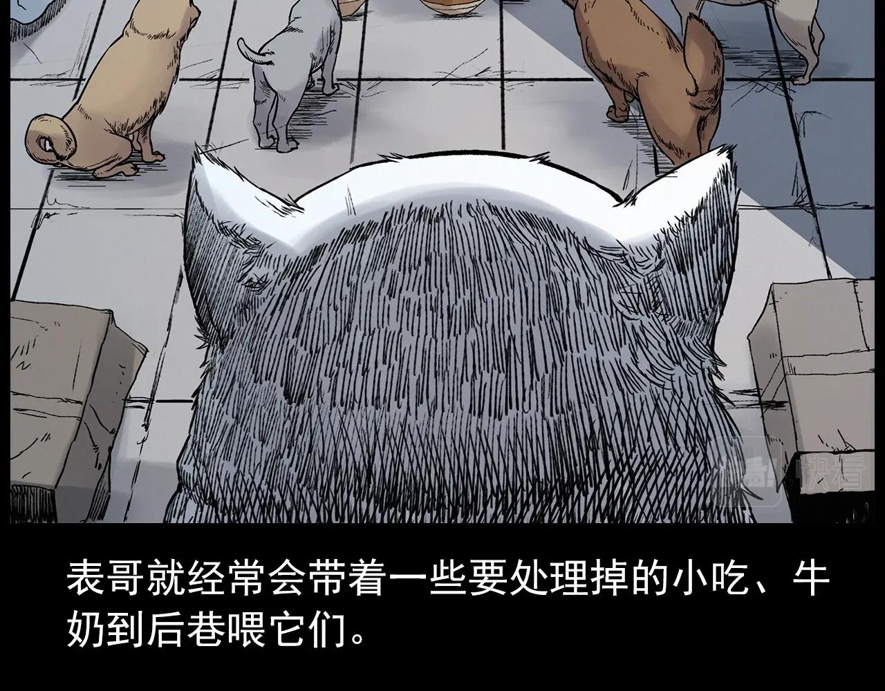第412话 双瞳猫18