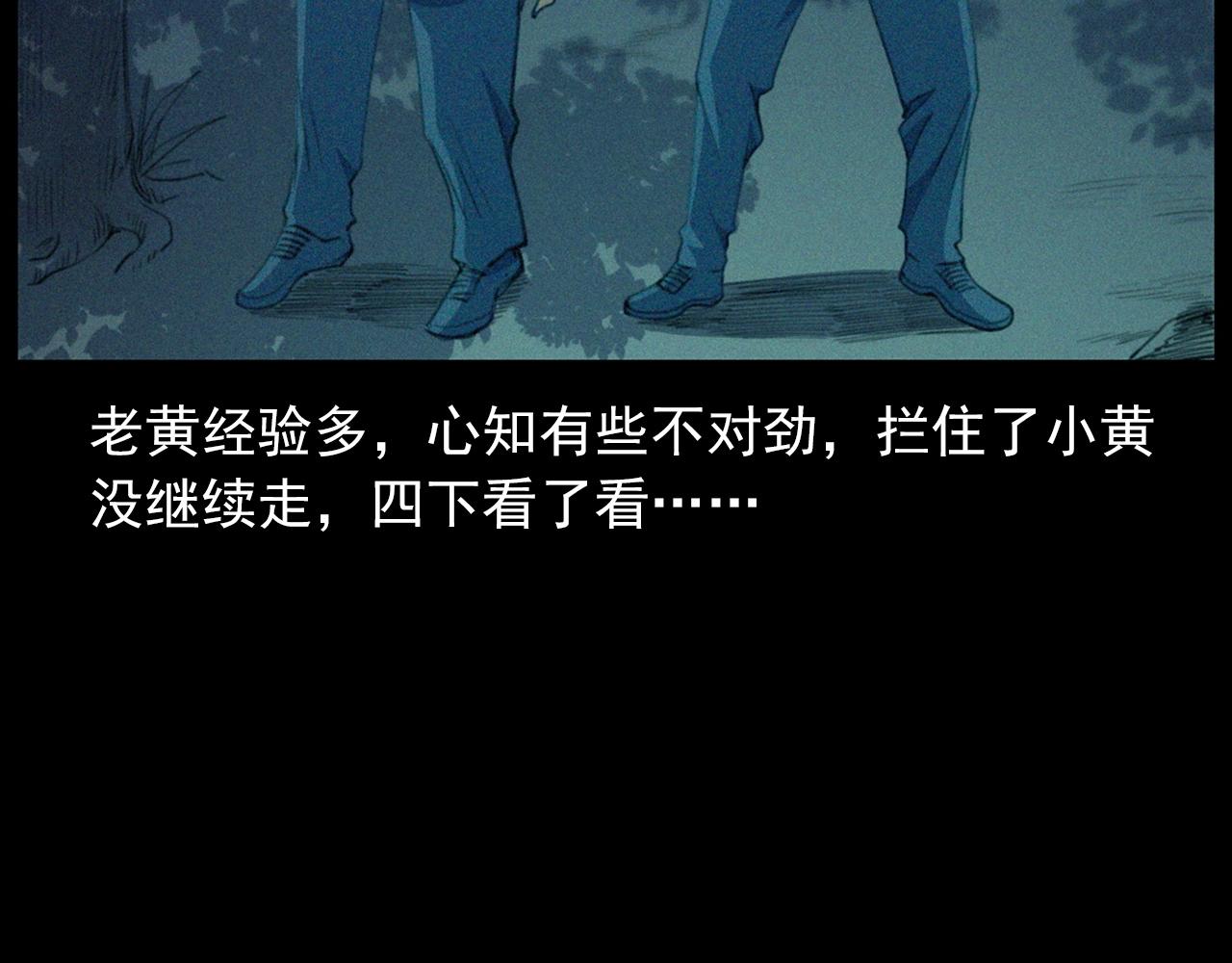 441话蜂窝54