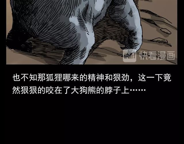第113话 猎狐人！132