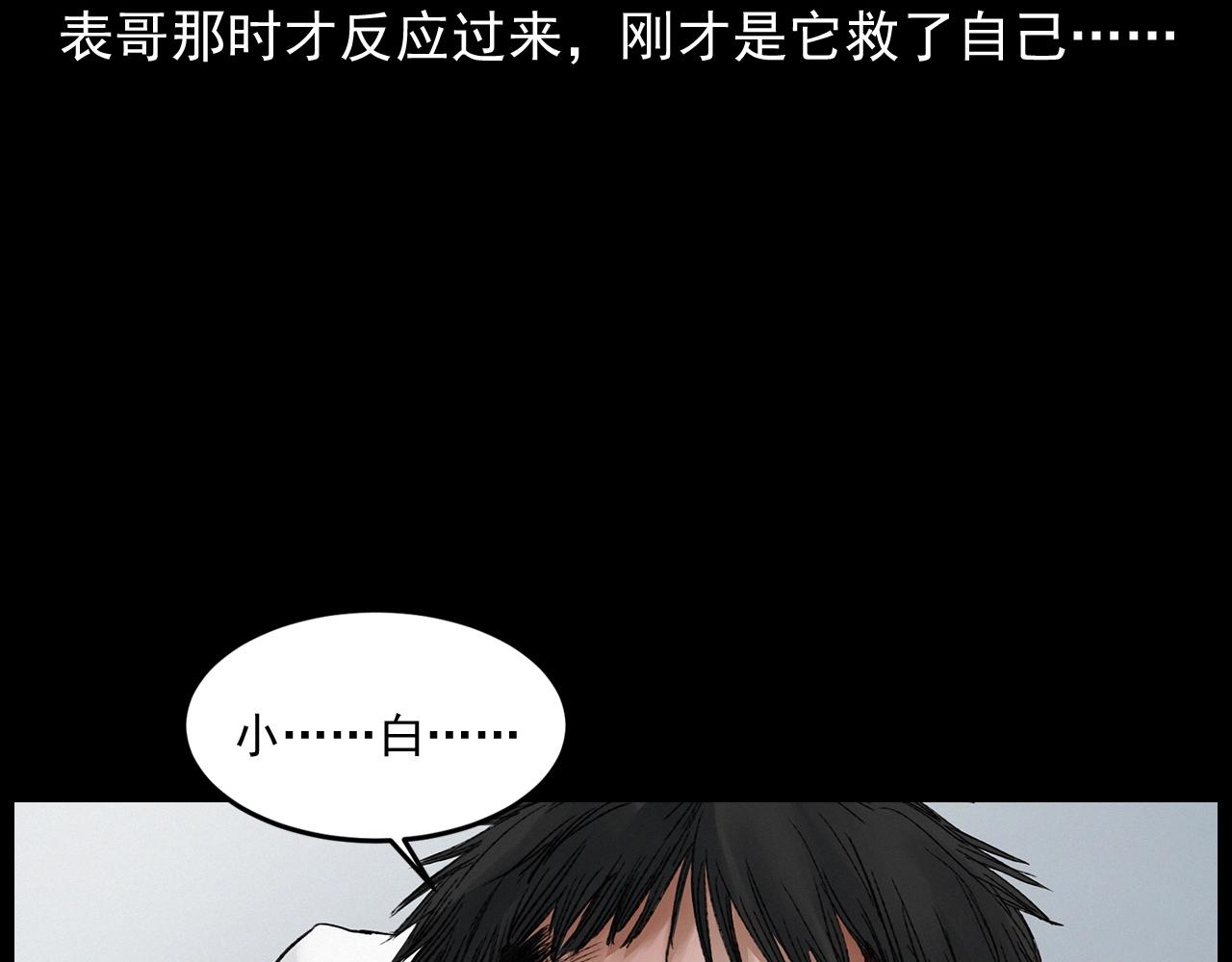 第412话 双瞳猫88