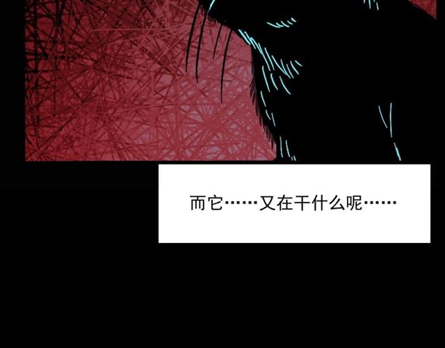 第159话  医院里的黑猫84