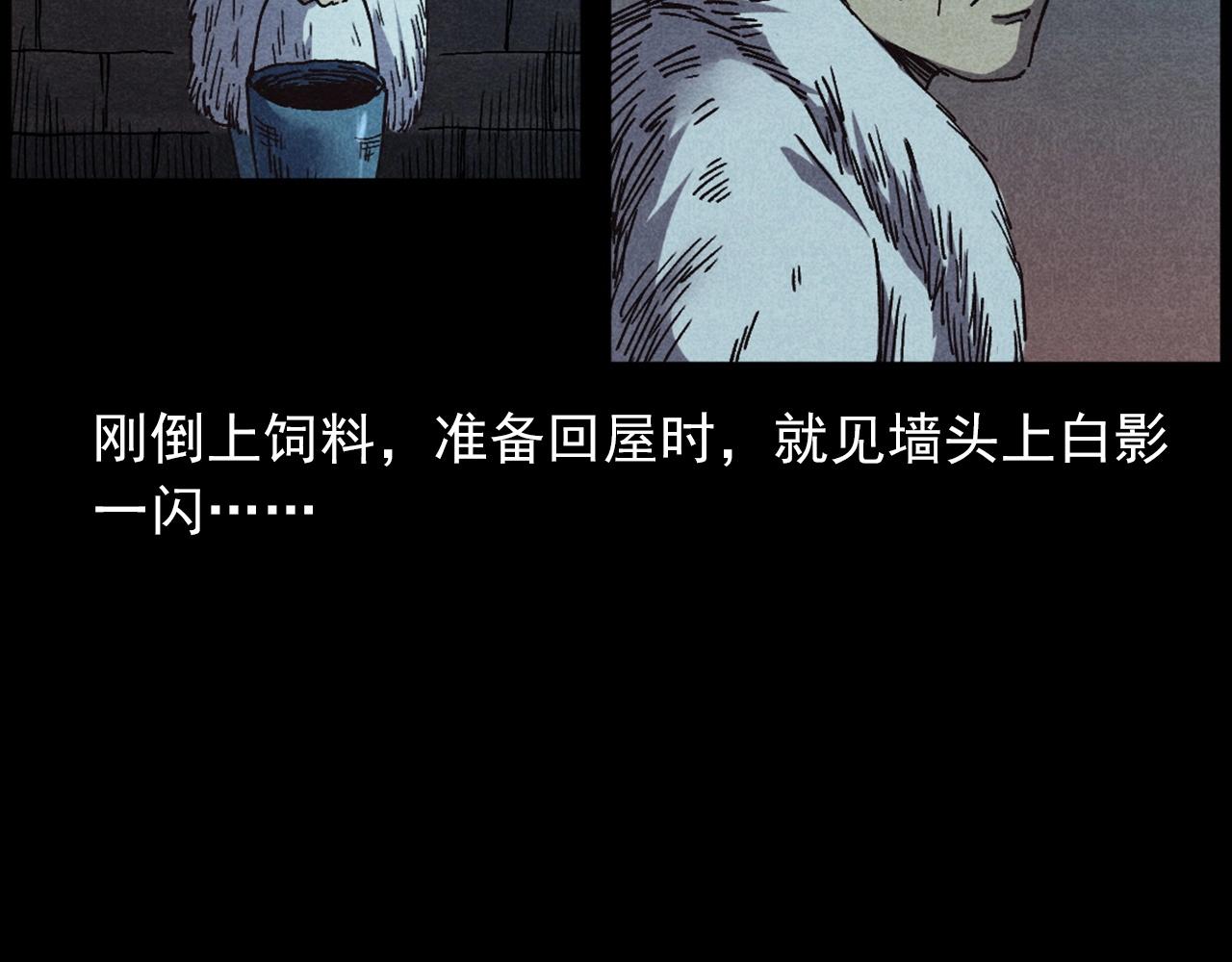 第421话 白狐66