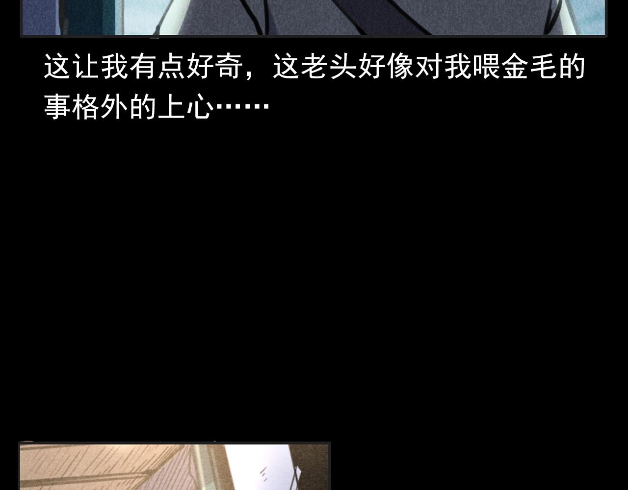 第352话 流浪狗41