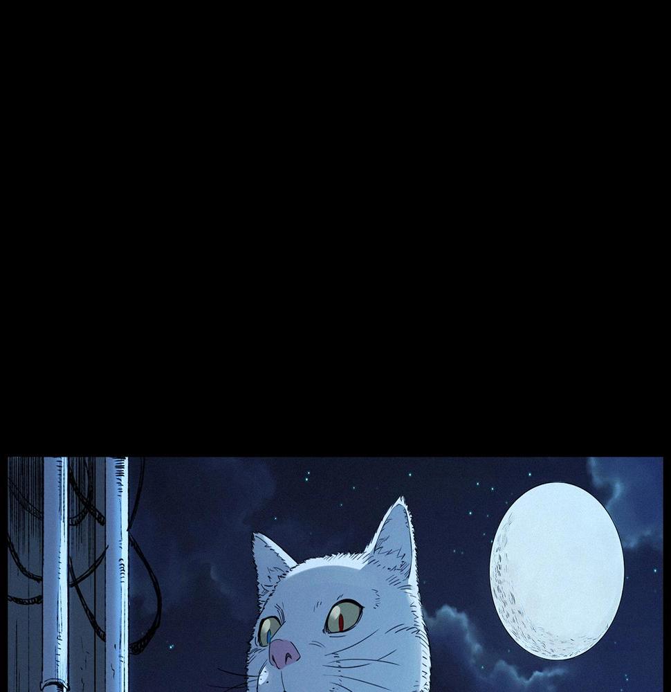 第412话 双瞳猫19