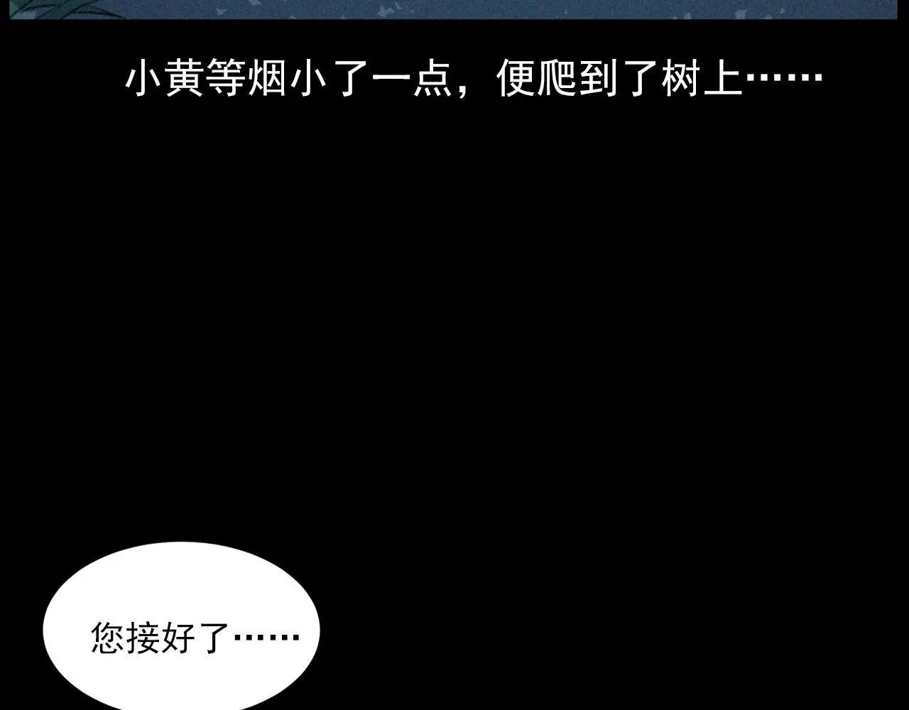 441话 蜂窝45