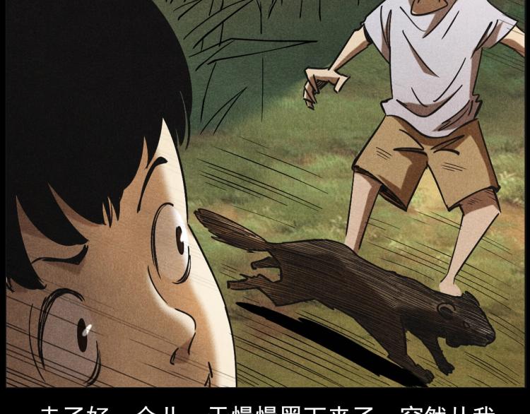 第297话 露天电影21