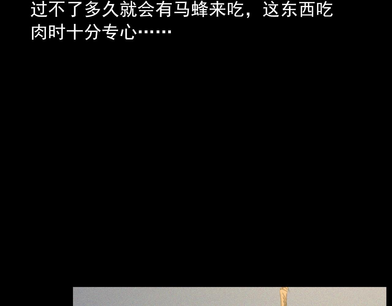 441话蜂窝13