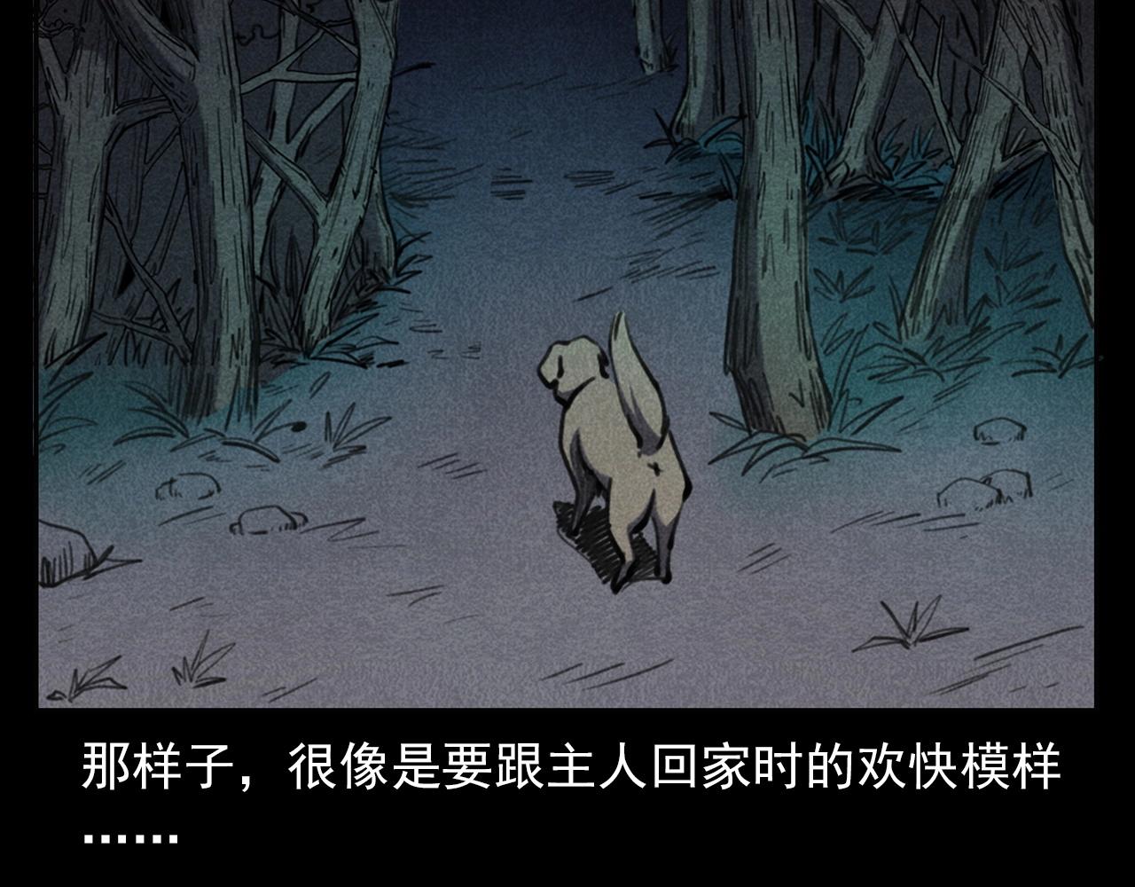 第352话 流浪狗74
