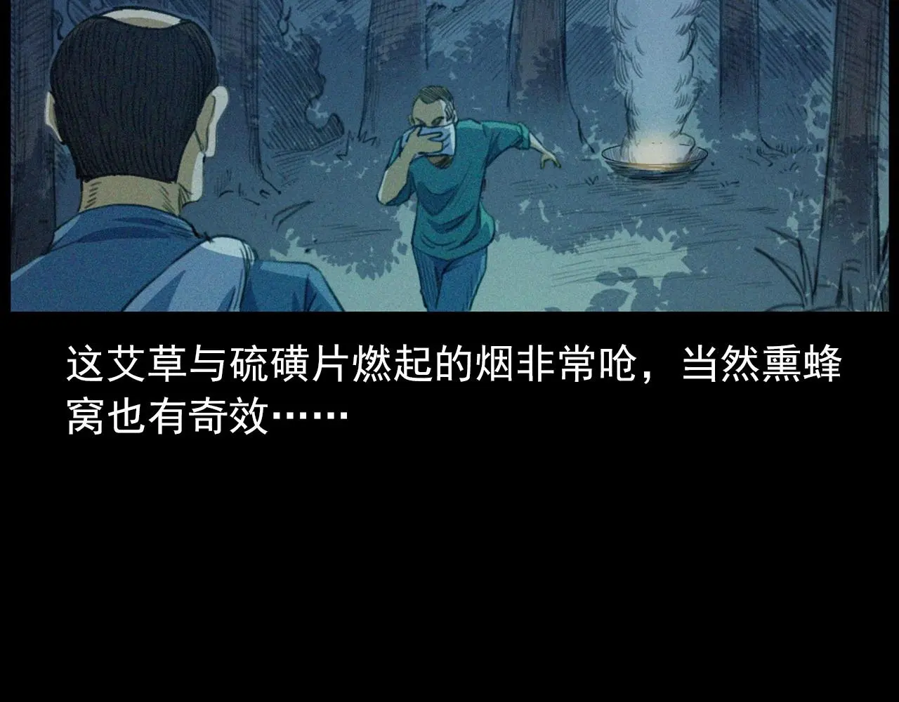441话 蜂窝41