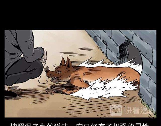 第116话 三脚猫！9