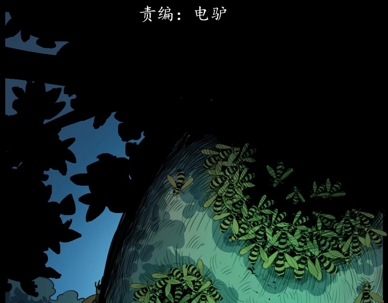 441话蜂窝2