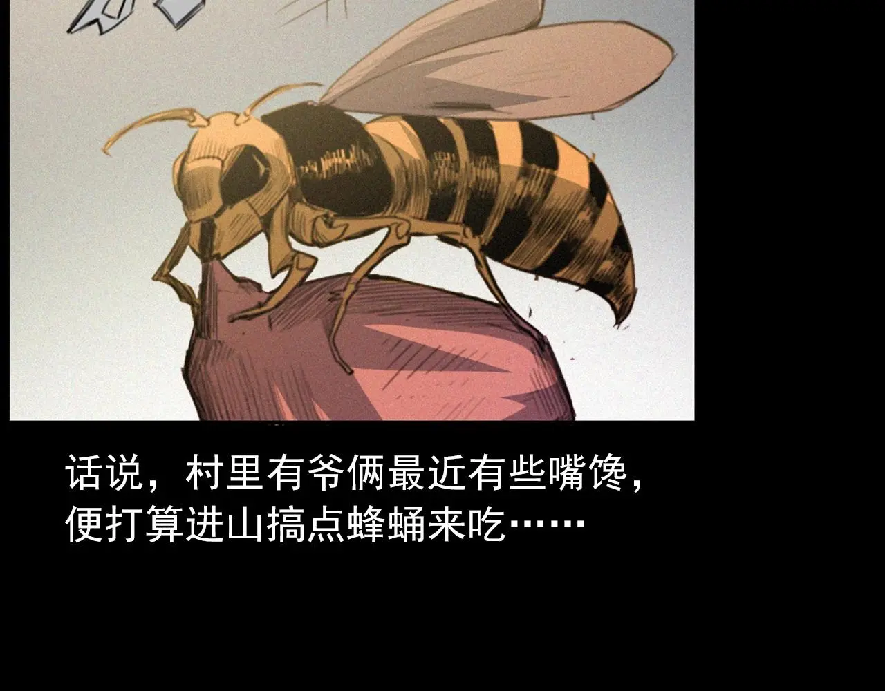 441话 蜂窝7