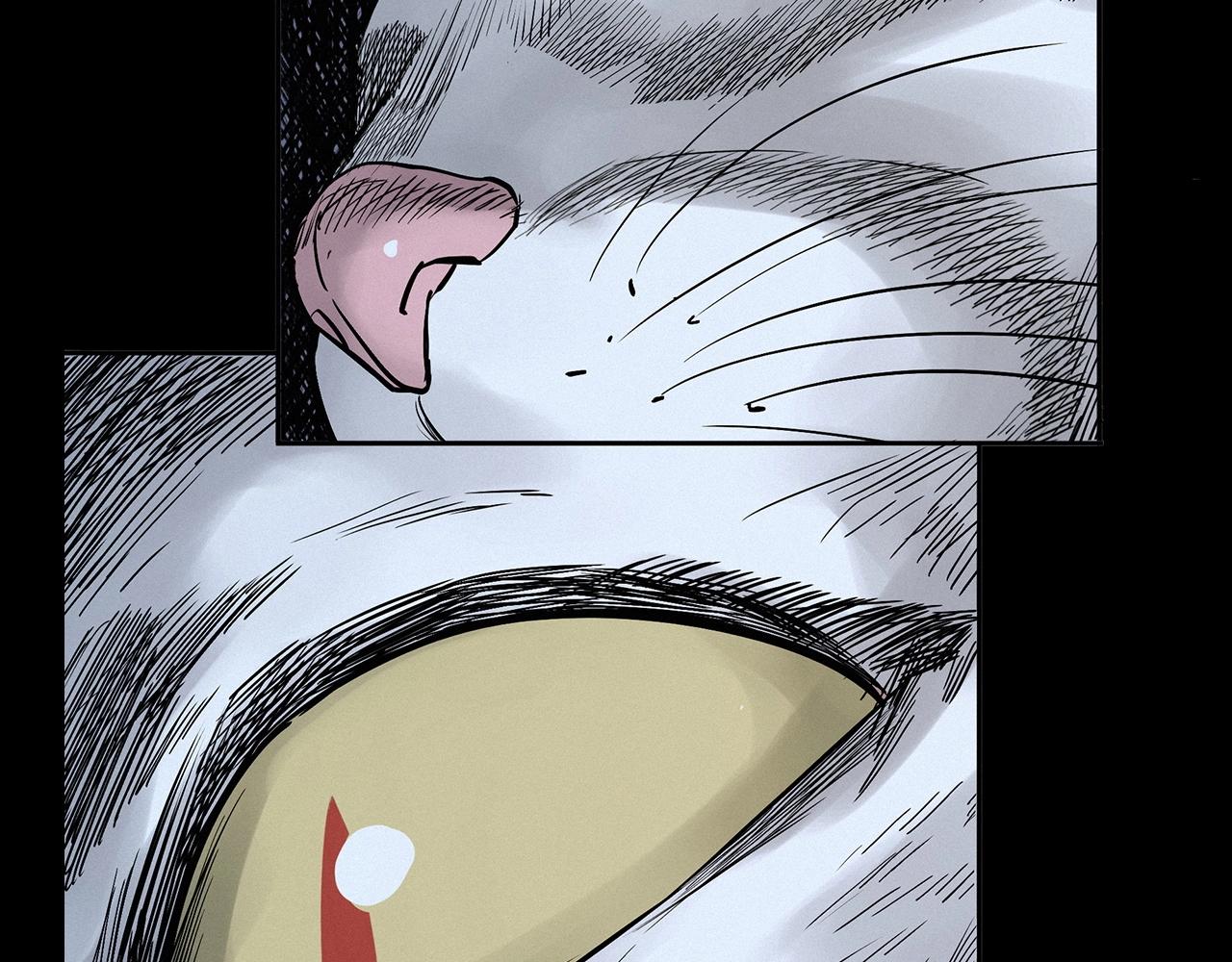第412话 双瞳猫39