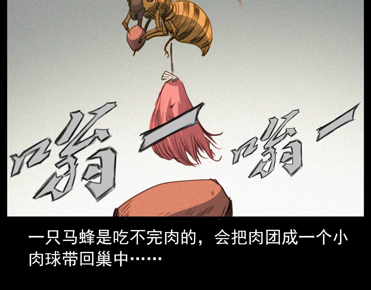 441话蜂窝16