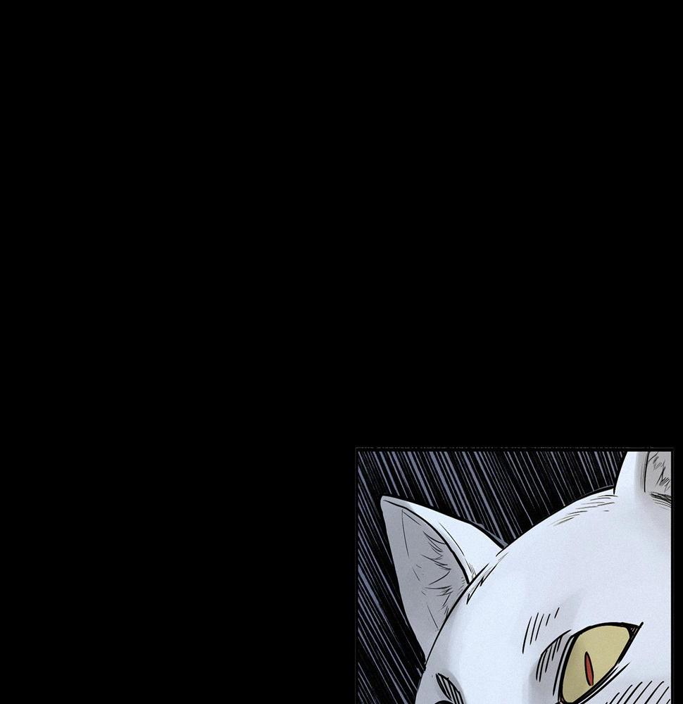 第412话 双瞳猫37