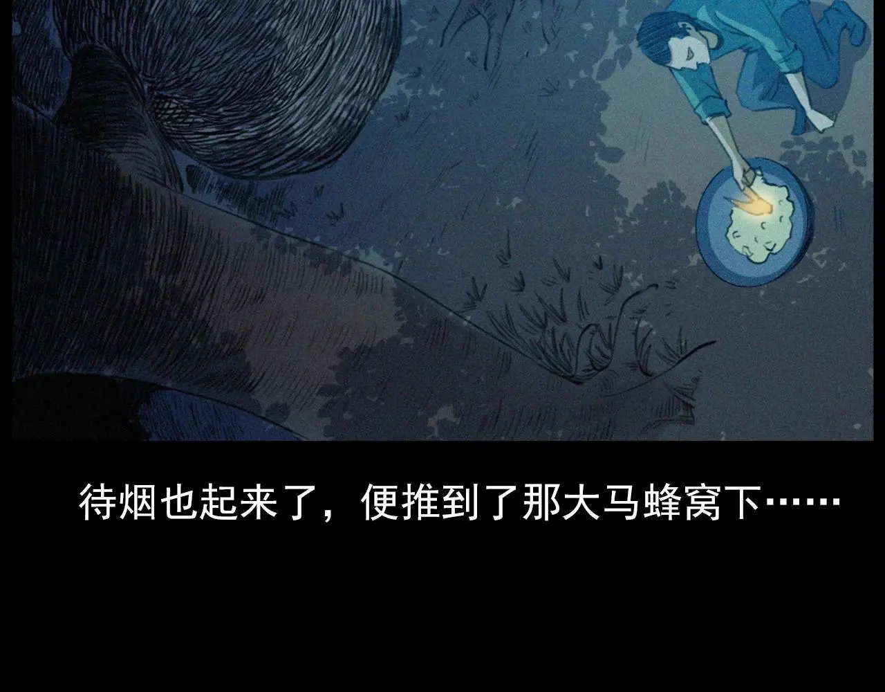 441话 蜂窝39