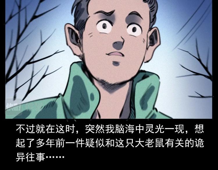 第307话 鼠恩48