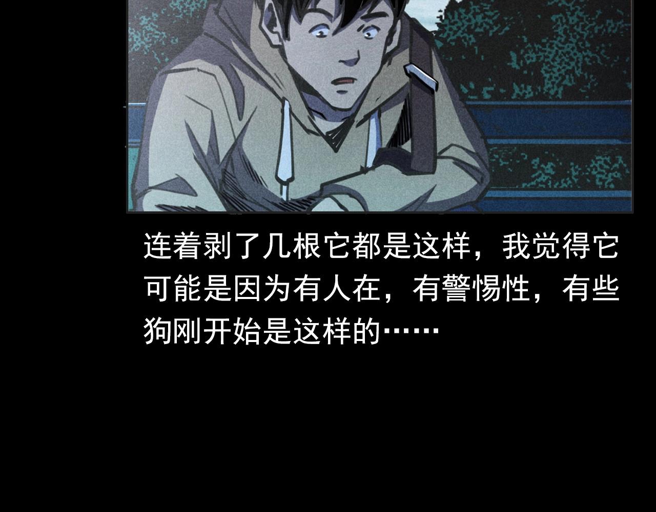 第352话 流浪狗33