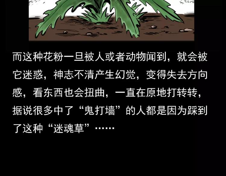 第6话 迷魂草70