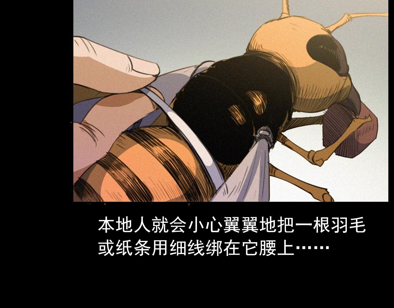 441话蜂窝14