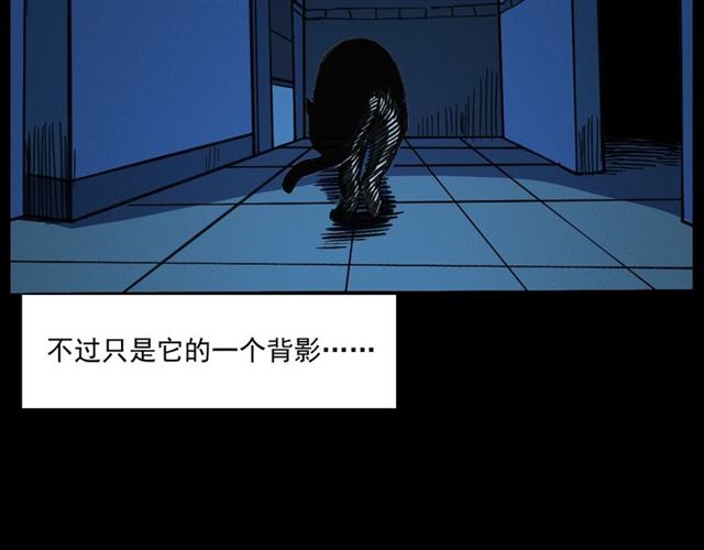 第159话  医院里的黑猫66